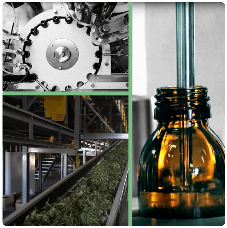 Hemp sellers - conveyor belt with hemp and extract bottle